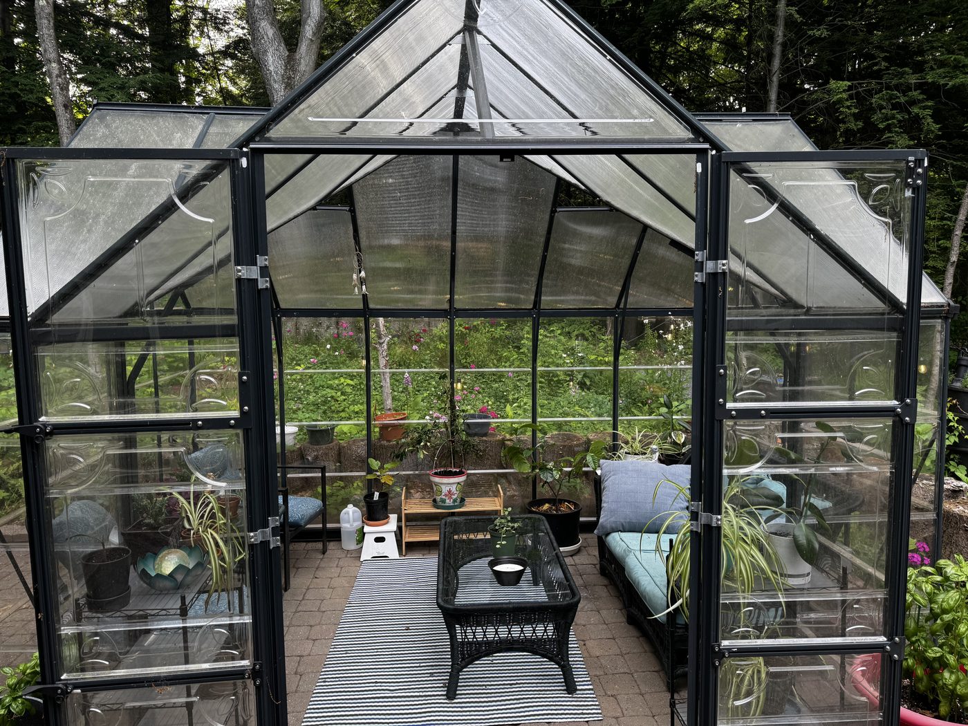 Glass greenhouse sitting room surrounded by forest