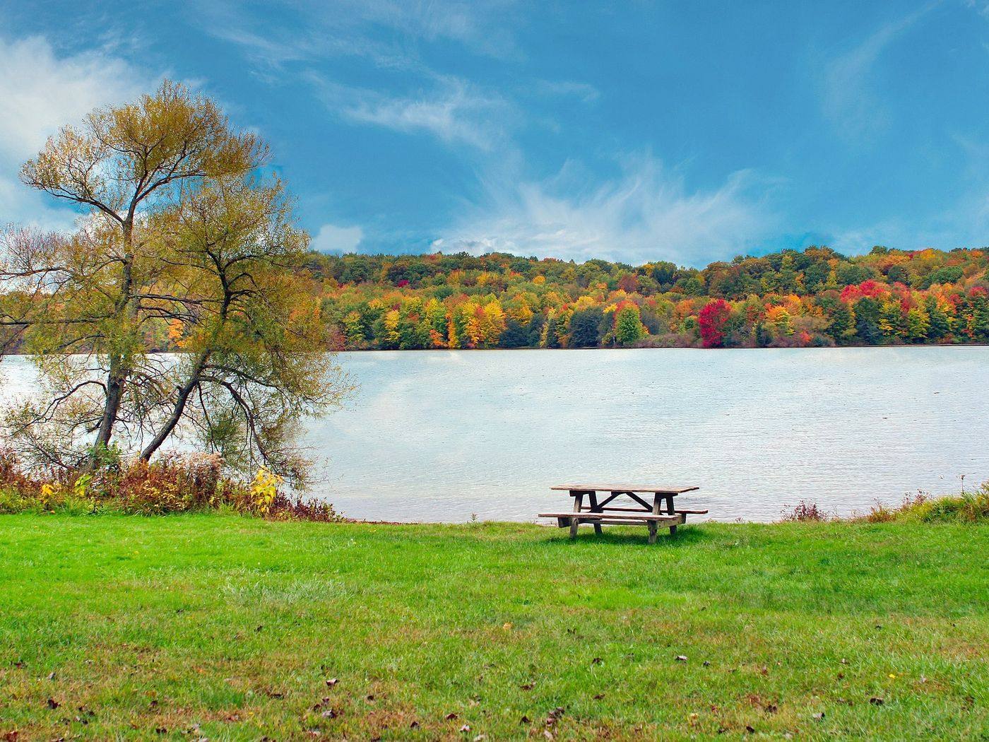 Picnic table beside a lake in autumn